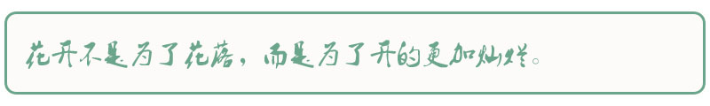 上海后花园——周庄休闲胜地探秘